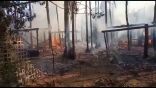 قذيفة للجيش الميانماري تحرق منزلين للروهنغيا وتشرد أسرها في أراكان