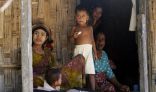 الأمم المتحدة تطالب ميانمار بتجنيس الروهنجيا