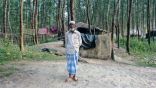مخاوف بشأن اعتزام بنجلاديش إعادة لاجئين روهنجيا إلى بورما
