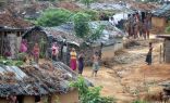 بنغلاديش تعتزم إحصاء اللاجئين الروهنجيا غير المسجلين