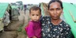 خيارات صحية محدودة أمام النازحين الروهينجا في ميانمار