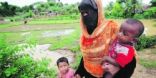 الروهنجيا المسلمون البورميون أمام طريق مسدود في أندونيسيا