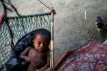 الأمم المتحدة: المجاعة تهدد مسلمي “الروهنغيا”