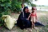 «الأزهر» و«الإفتاء» يطلقان حملة لإنقاذ مسلمي «ميانمار» ويطالبان بتدخّل دولي لحل الأزمة