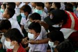 ارتفاع حصيلة وفيات إنفلونزا الخنازير في ميانمار إلى 23