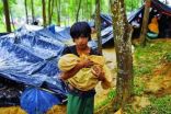 بنغلاديش: 14 ألف مأوى في مخيم بالوخالي بكوكس بازار لإيواء نازحي الروهنغيا