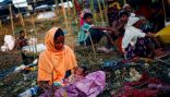 23 منظمة تنتقد اتفاق ميانمار والأمم المتحدة بشأن إعادة الروهنغيا