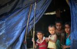 نحو نصف مليون طفل أراكاني يبحثون عن ذويهم في بنغلادش