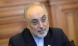 إيران تبني مفاعلين نوويين بمساعدة روسيا