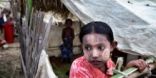 المسلمون في ميانمار: طرد وترحيل أقرب إلى التطهير