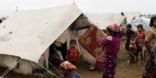 ثوار «الربيع العربي» يطالبون بقمة إسلامية لإنقاذ مسلمي بورما