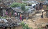 قلق بين مسلمي أراكان ببنغلاديش خوفًا من نقل مراكز الإيواء لجزيرة هاتيا