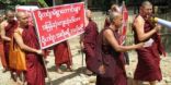 منظمة 969 البوذية تنهب مواشي الروهنجيين في بورما "ميانمار "