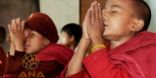 تعاليم بوذا الأصلية