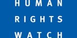 التقرير العالمي 2013 – تحديات حقوق الإنسان بعد الربيع العربي