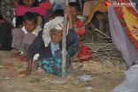 14 دولة تحث ميانمار على السماح بوصول المساعدات إلى “أراكان”