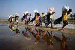 وصول 500 لاجئ على الأقل من أقلية الروهنغيا بميانمار إلى بنغلاديش