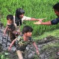 تعليق برنامج أممي ونزوح آلاف الروهنغيا لبنغلاديش