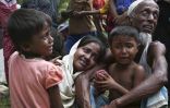 ألمانيا تدعو ميانمار إلى تطبيق توصيات “عنان” بشأن مسلمي الروهنغيا