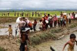 الأمم المتحدة: ارتفاع أعداد لاجئي الروهنغيا الواصلين بنغلاديش إلى 146 ألفا