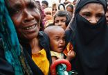 هل تنقذ الأمم المتحدة مسلمي الروهنغيا من «التطهير العرقي» في ميانمار؟