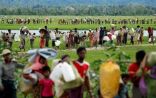 (مفوضية اللاجئين) ترصد استمرار ارتفاع معدلات فرار مسلمي ميانمار