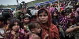 محللة هندية : الأمم المتحدة لا تعالج الوضع الفعلي للروهنغيا