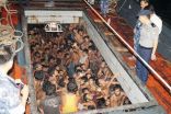 حكومة ميانمار تحتجز منذ أيام قاربا للمهجرين في عرض البحر