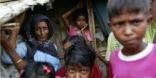 الحكومة البورمية تمتنع عن إجراء تحقيق في مذبحة المسلمين الأخيرة