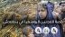 ANA PANORAMA | قصة اللاجئين الروهنغيا في بنغلاديش