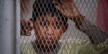 منظمة حقوقية : "لا أمل للأطفال المهاجرين في إندونيسيا"
