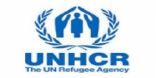 الأمم المتحدة قلقة بشأن لاجئين روهنجيين عالقين في جزيرة إندونيسية نائية