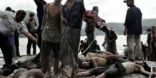 مسؤول بنغالي : حكومة ميانمار تقتل مسلمى الروهينجا ليتركوا ديارهم