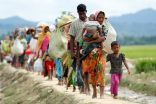 تقرير عن الروهنغيا: حياتهم بين سجنَين ولا فرار من ميانمار