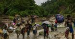 شاهد: الروهنغيا يفرون من مذابح ميانمار إلى الغرق في بنغلاديش