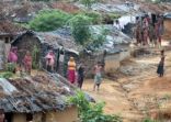 بنغلاديش تعتزم نقل مخيمات الروهنجيا إلى مكان أفضل