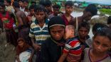 الأمم المتحدة: ارتفاع عدد اللاجئين الروهنغيا في بنغلادش إلى 603 آلاف