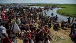مخاوف 720 ألف مسلم روهنغي من إعادتهم للموت والتعذيب في ميانمار