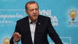 أردوغان: سنشرح للعالم بكامله ما يحدث في أراكان