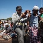 دراسة أمريكية: استقرار إنتاج الأفيون في بورما